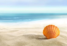 多特蒙德对阵曼城：优胜者将尽在所望