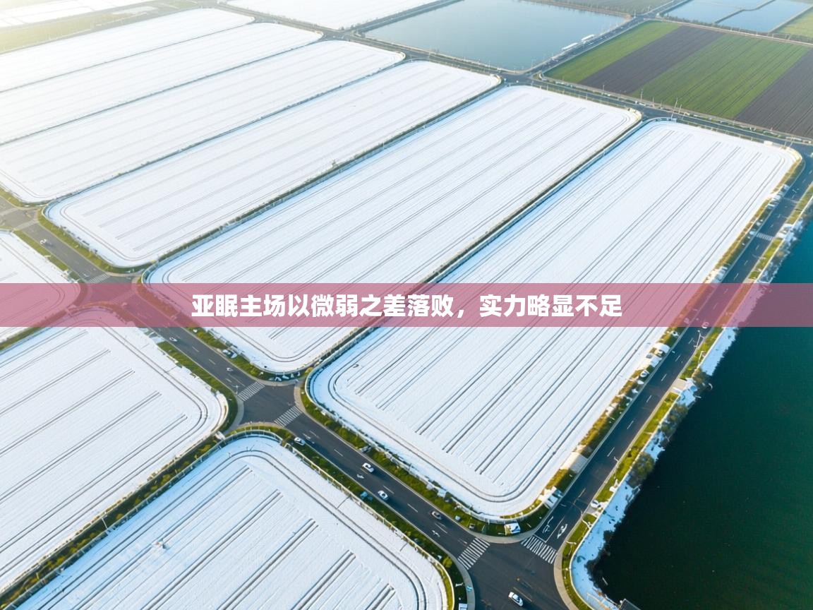 亚眠主场以微弱之差落败，实力略显不足  第1张