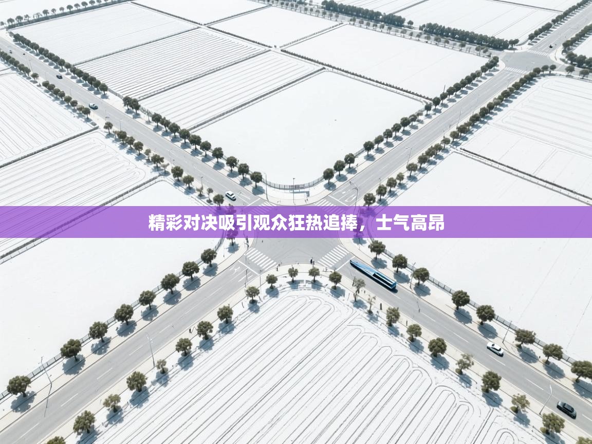 精彩对决吸引观众狂热追捧,士气高昂 第1张