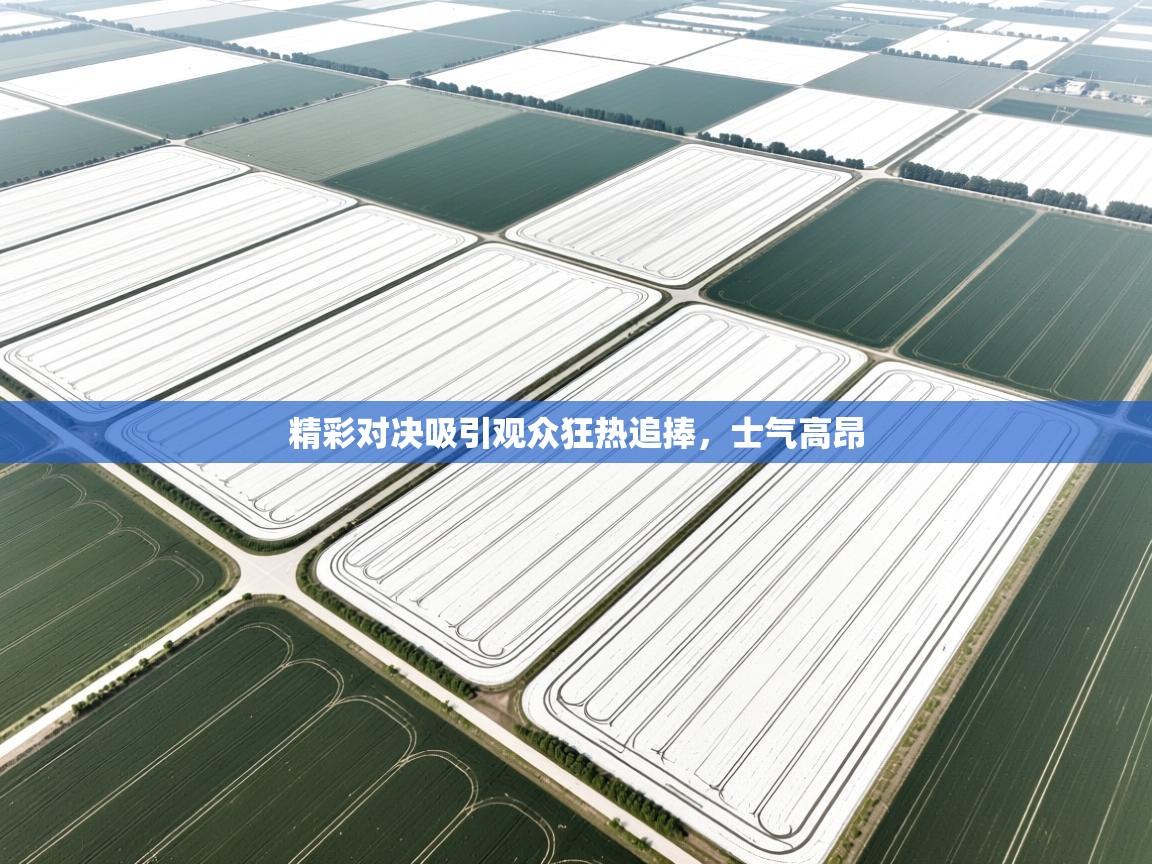 精彩对决吸引观众狂热追捧,士气高昂 第2张