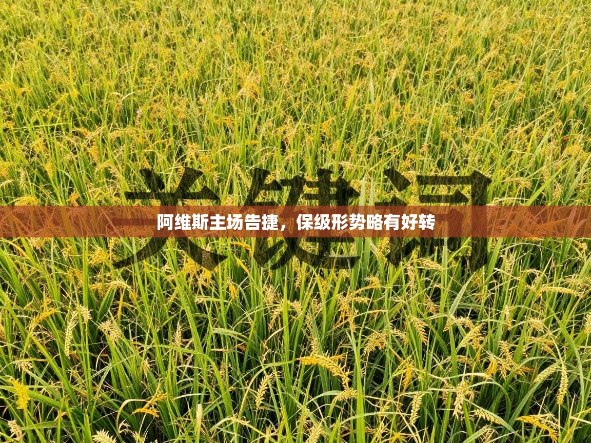 阿维斯主场告捷，保级形势略有好转  第2张