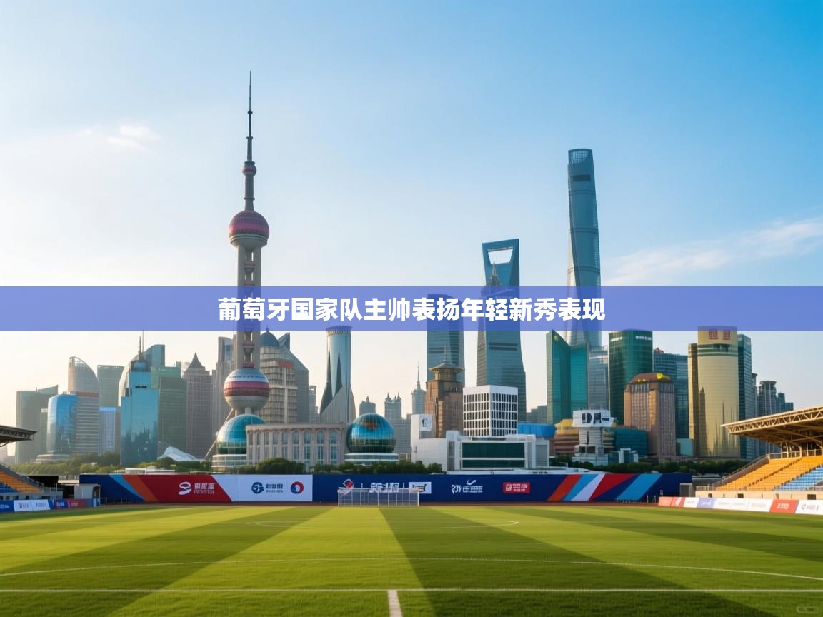 葡萄牙国家队主帅表扬年轻新秀表现  第1张