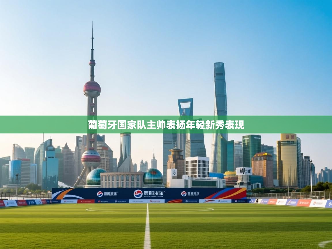 葡萄牙国家队主帅表扬年轻新秀表现  第2张