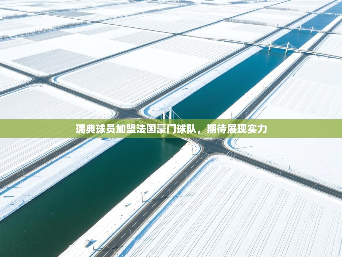 瑞典球员加盟法国豪门球队，期待展现实力  第1张