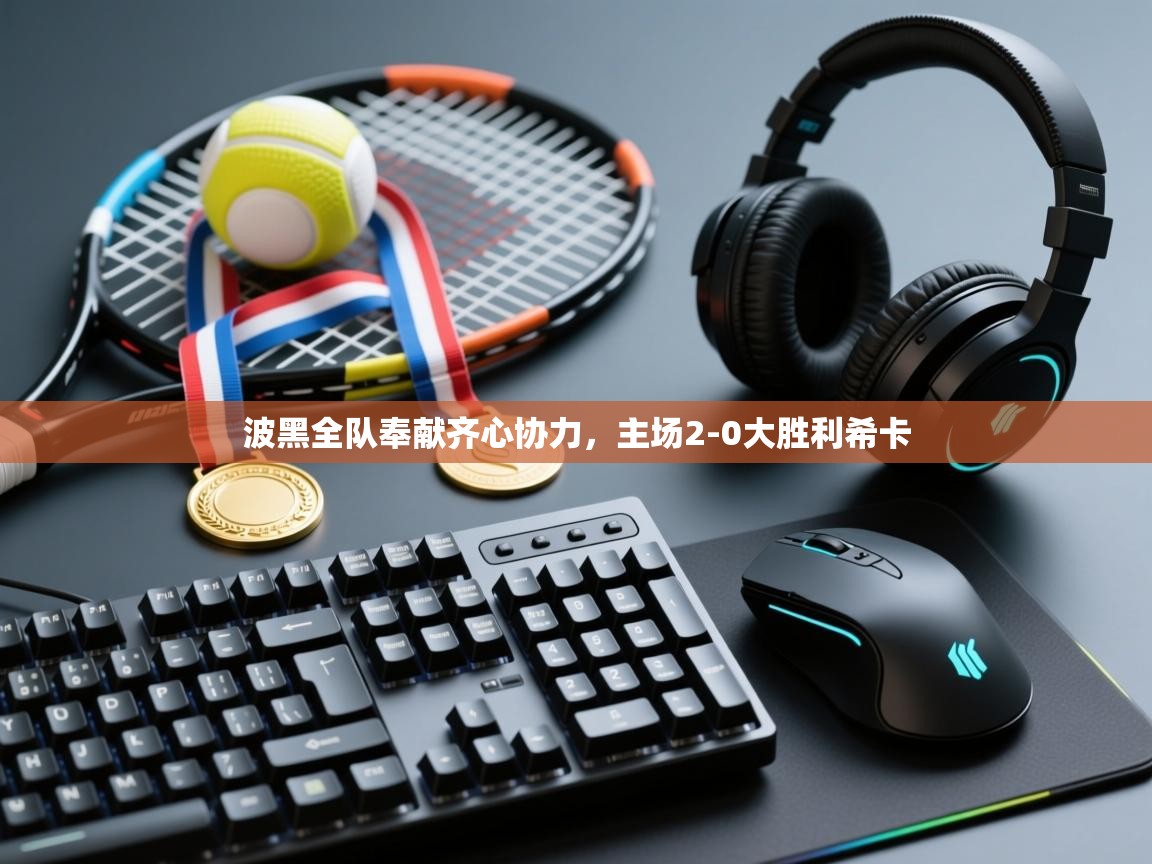 波黑全队奉献齐心协力，主场2-0大胜利希卡