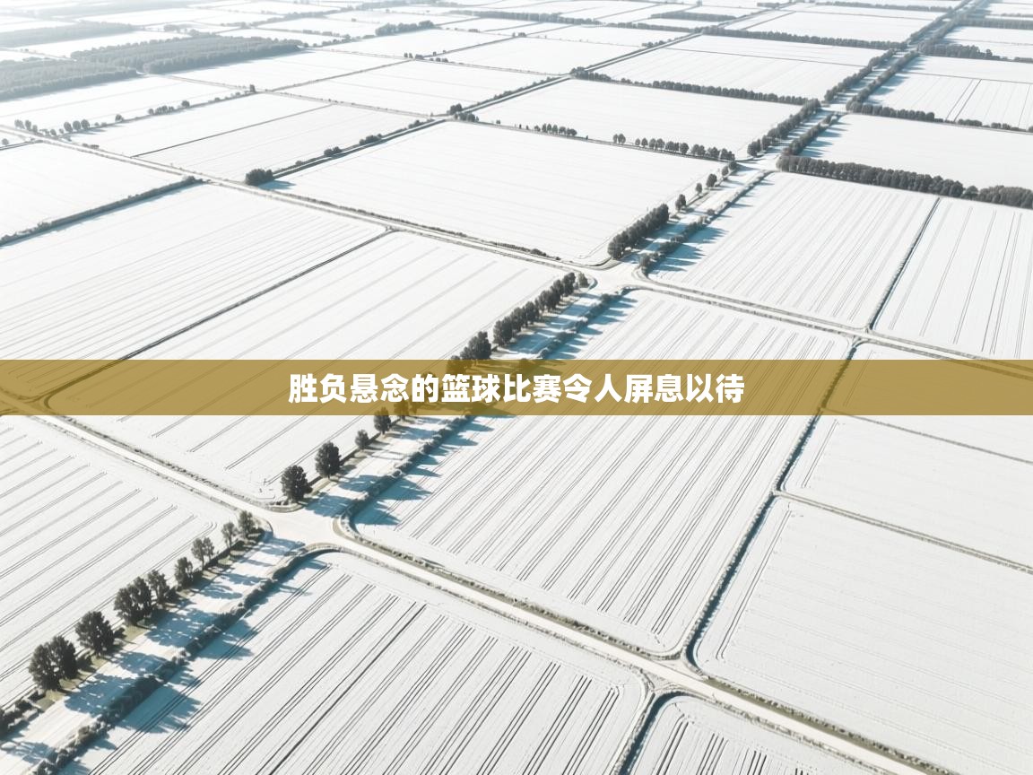 胜负悬念的篮球比赛令人屏息以待 第2张