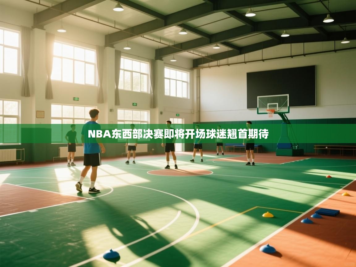 NBA东西部决赛即将开场球迷翘首期待 第2张