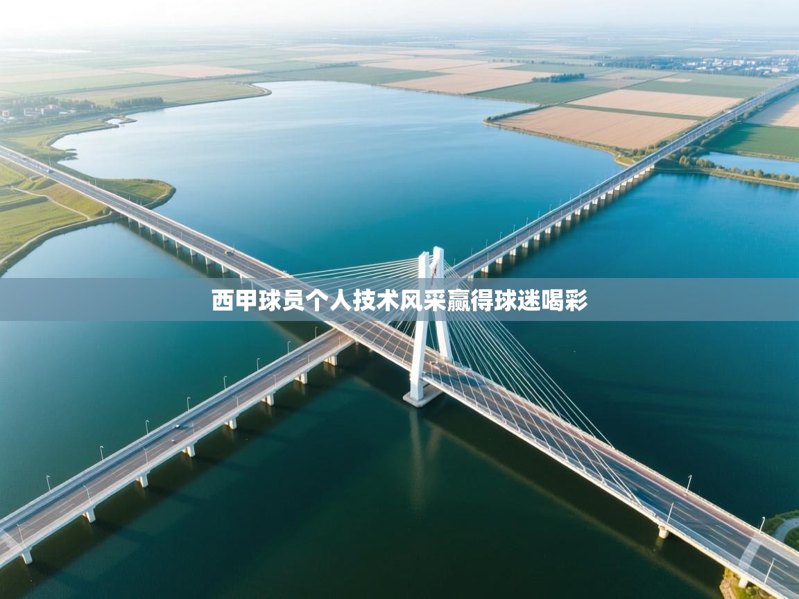 西甲球员个人技术风采赢得球迷喝彩 第2张